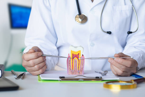 Best Urgent Tooth Repair  in Broadview Park, FL
